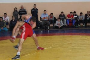 XV всероссийский турнир на призы братьев Брайко
